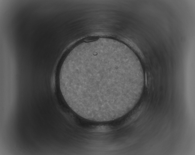 X0000100470204200807111048