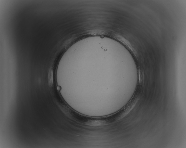 X0000100470205200807111048