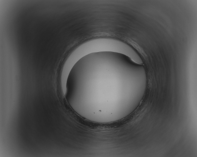 X0000100470207200807111048