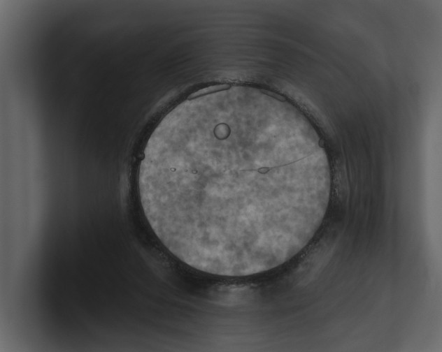 X0000100470208200807111048