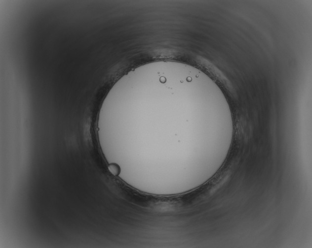 X0000100470209200807111048