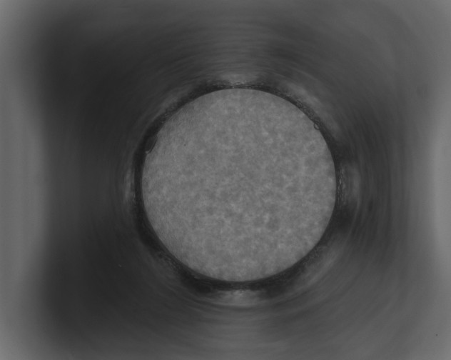 X0000100470212200807111047