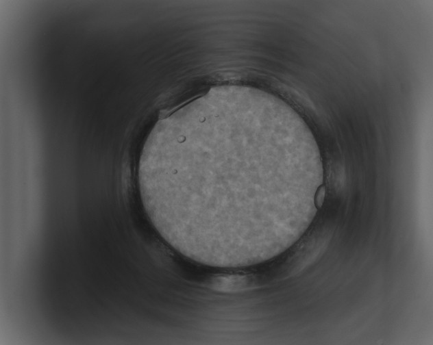 X0000100470220200807111047