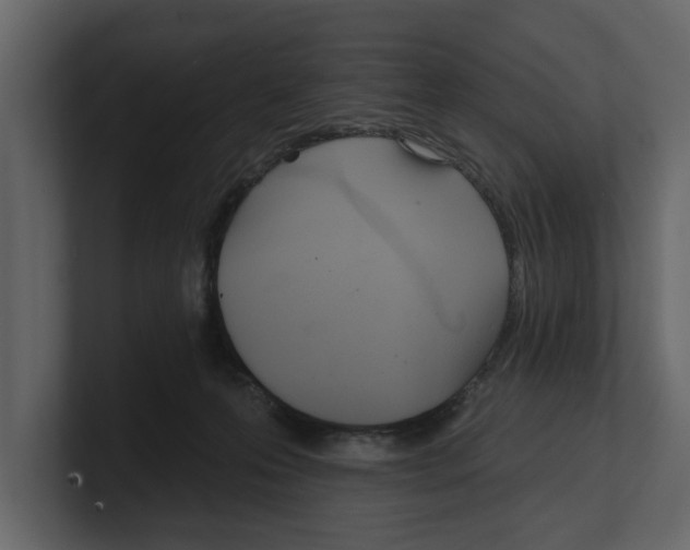 X0000100470223200807111047