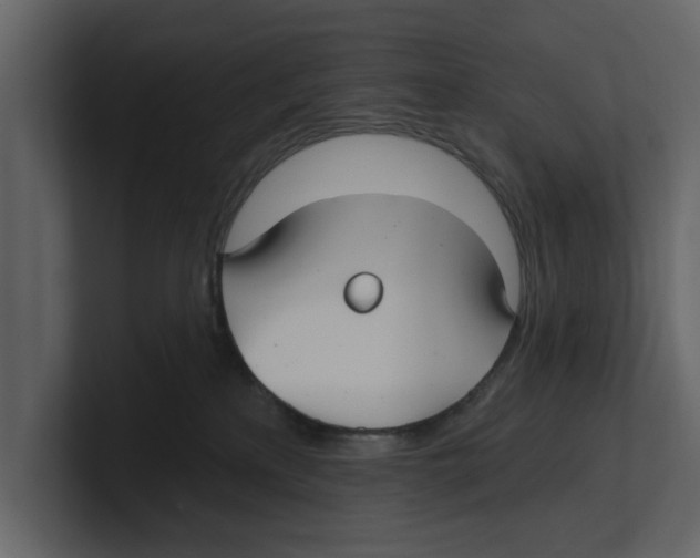 X0000100470233200807111047