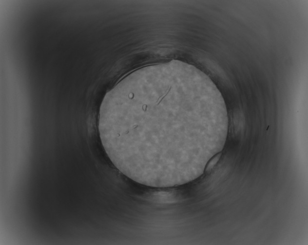 X0000100470236200807111047