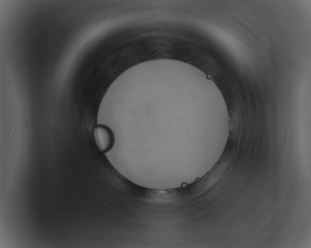 X0000100470239200807111047