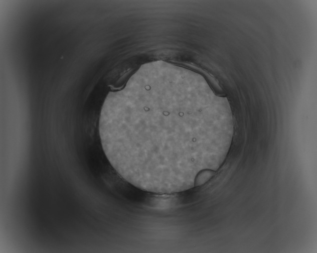 X0000100470240200807111047