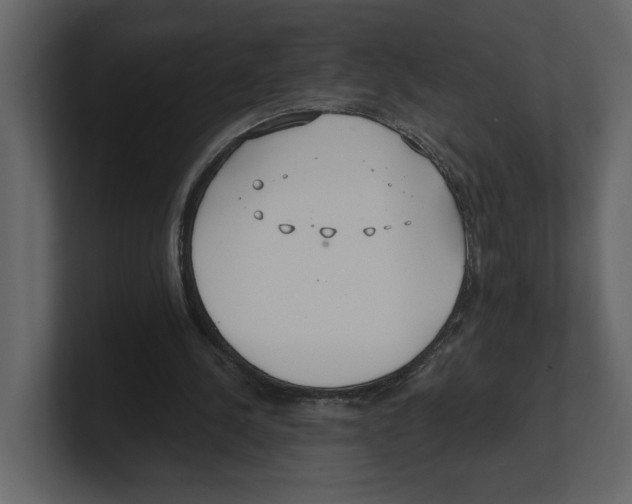 X0000100470244200807111047