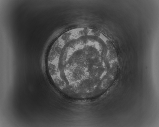 X0000100470245200807111047