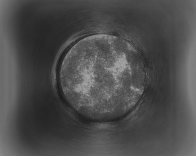 X0000100470246200807111047