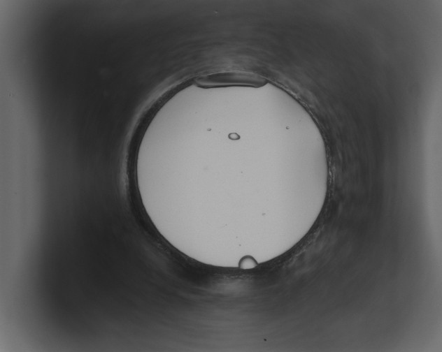 X0000100470248200807111047