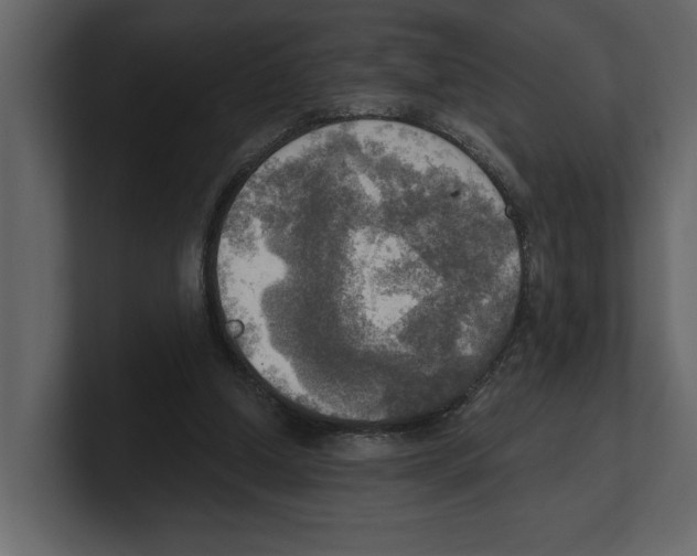 X0000100470250200807111047