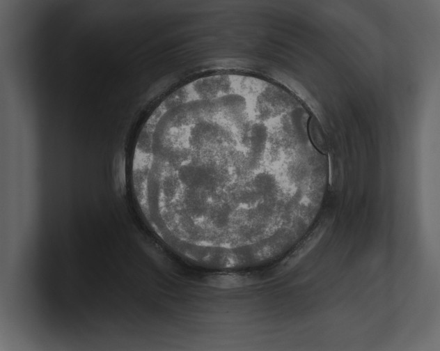 X0000100470253200807111047