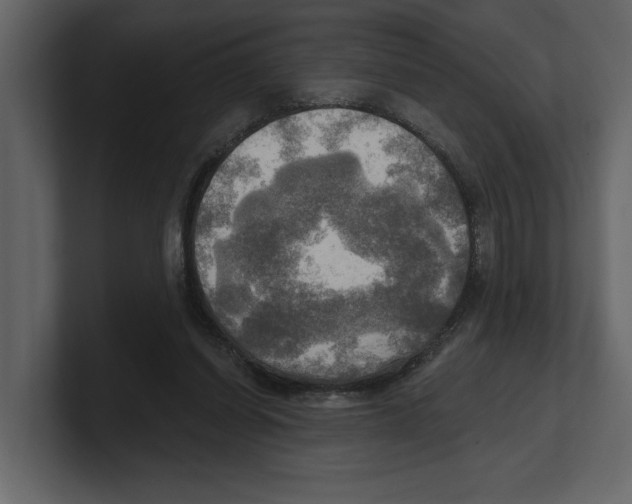 X0000100470254200807111047