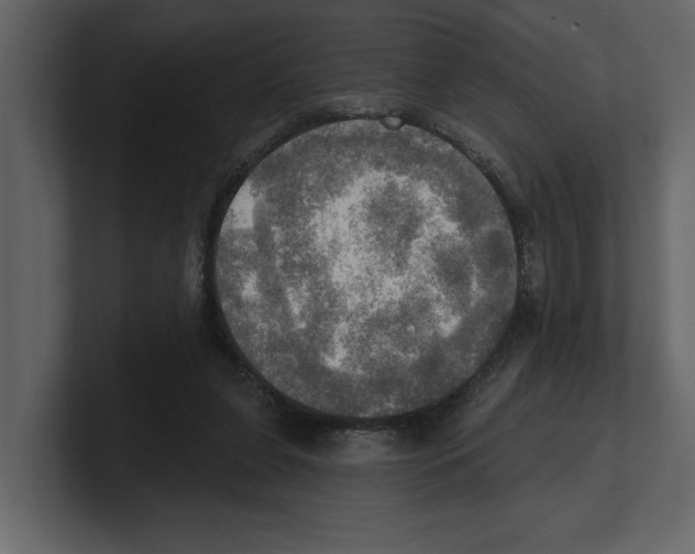 X0000100470255200807111047