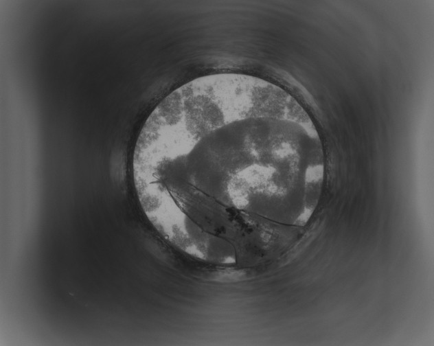 X0000100470257200807111047