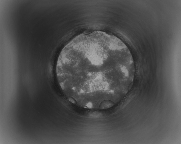 X0000100470258200807111047