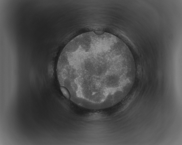 X0000100470259200807111047