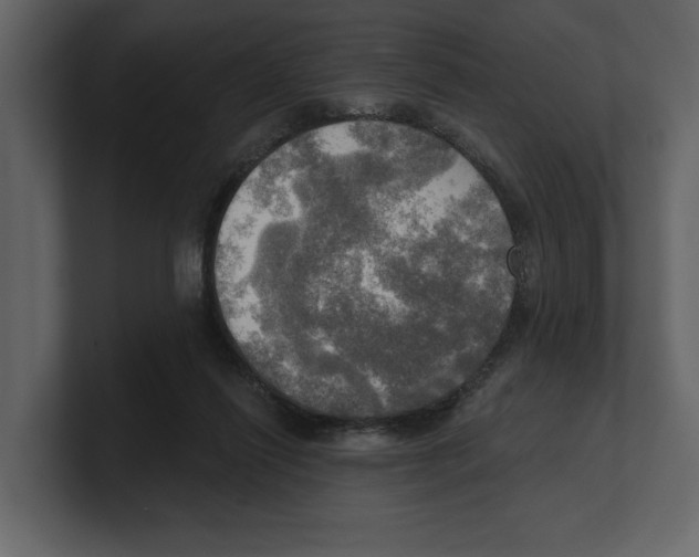 X0000100470262200807111047