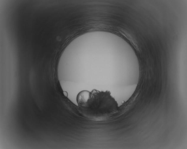 X0000100470265200807111047