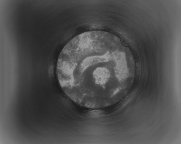 X0000100470269200807111047