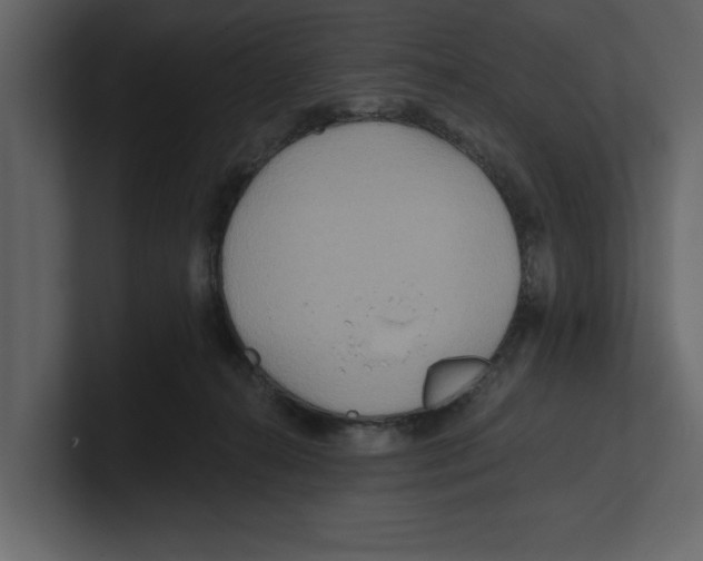 X0000100470272200807111047