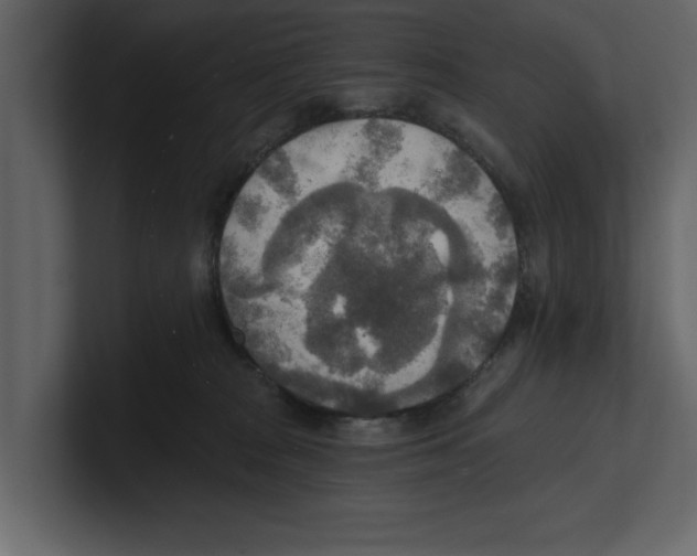 X0000100470277200807111047