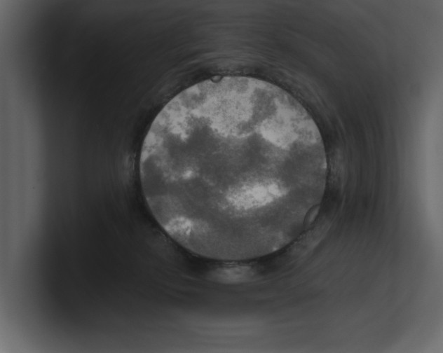 X0000100470278200807111047