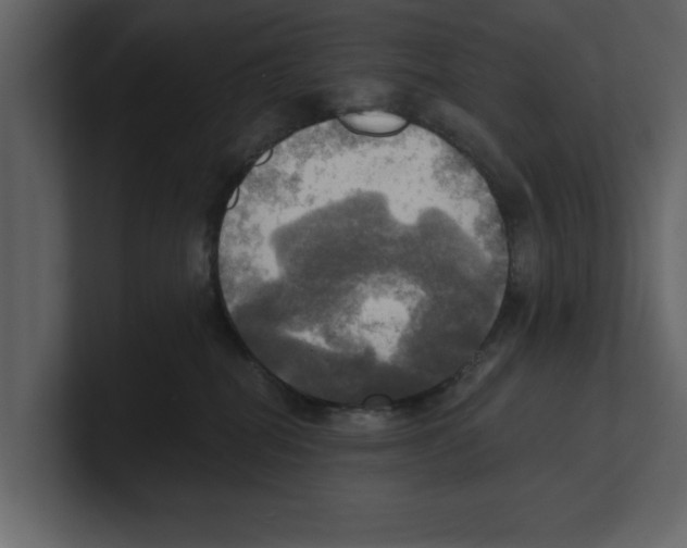 X0000100470282200807111047