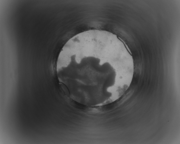 X0000100470285200807111047