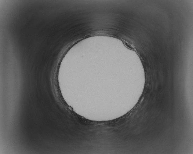 X0000100470289200807111046