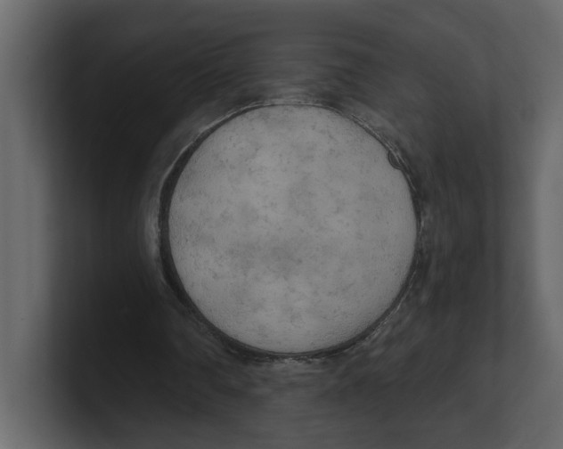 X0000100470290200807111046