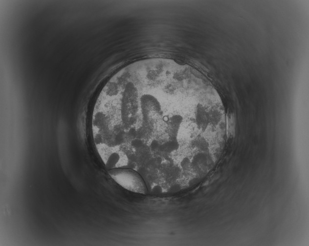 X0000100470291200807111046