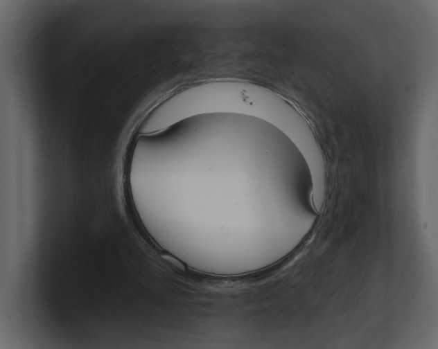 X0000100470293200807111046