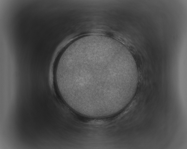 X0000100470294200807111046