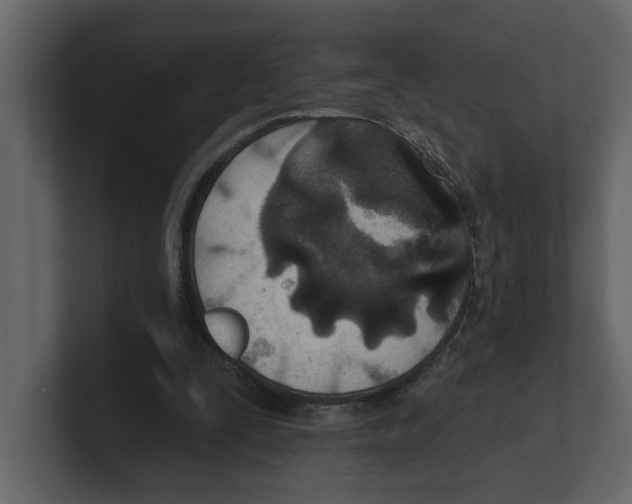 X0000100470295200807111046