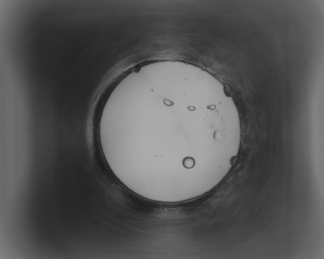 X0000100470296200807111046