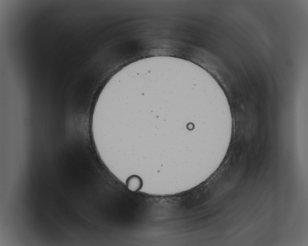 X0000100470297200807111046