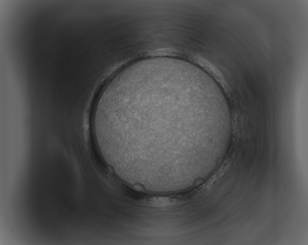 X0000100470298200807111046