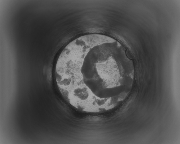 X0000100470299200807111046