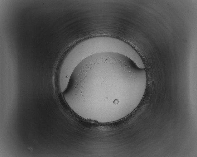 X0000100470302200807111046