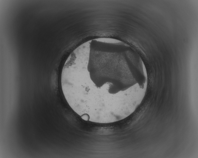 X0000100470303200807111046