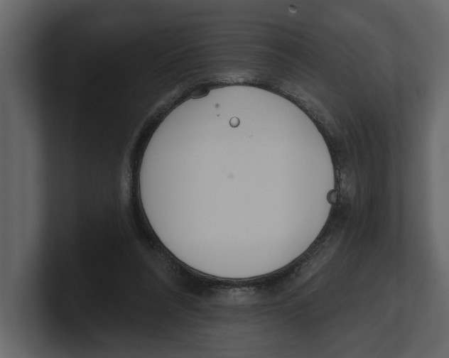 X0000100470304200807111046