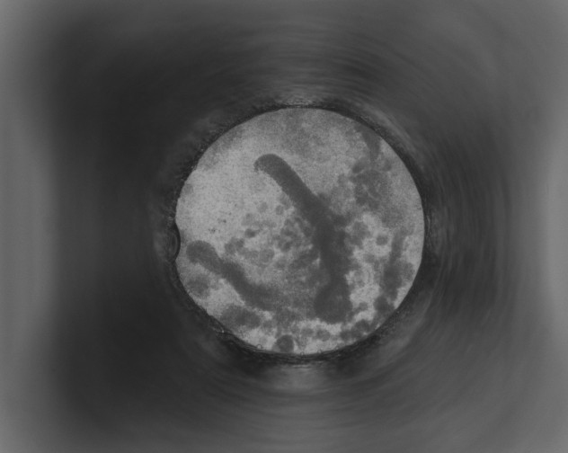 X0000100470307200807111046