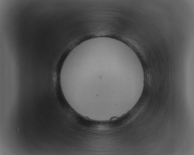 X0000100470308200807111046