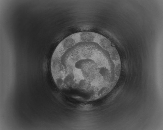 X0000100470311200807111046