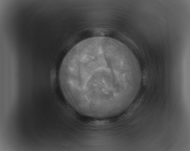 X0000100470314200807111046