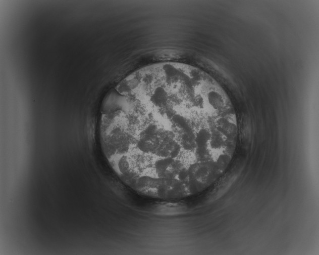 X0000100470315200807111046