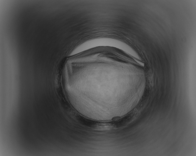 X0000100470316200807111046